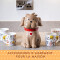 Mug Chien multicolore céramique porcelaine 365 ml - miniature variant 4
