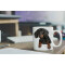 Mug Teckel - Chien - blanc céramique 3D 330 ml - miniature variant 5