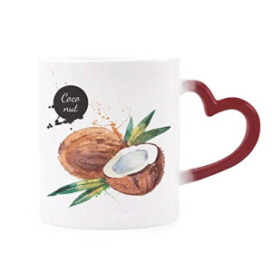 Mug Noix de coco multicolore céramique 350 ml