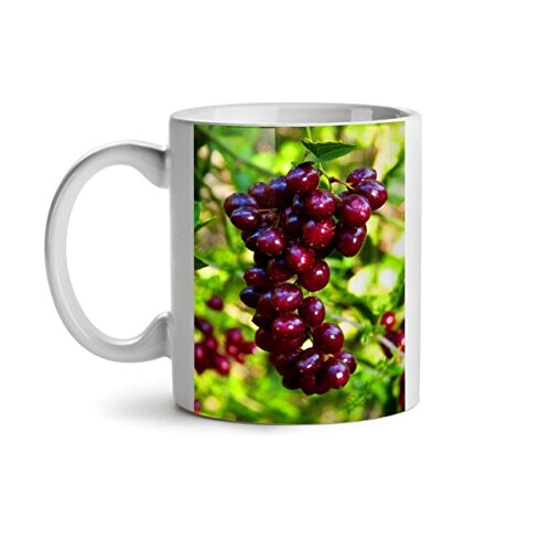 Mug Raisin blanc céramique variant 1 
