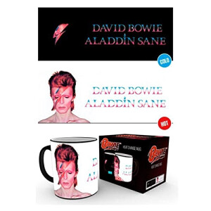 Mug Aladdin couleuris assortis céramique